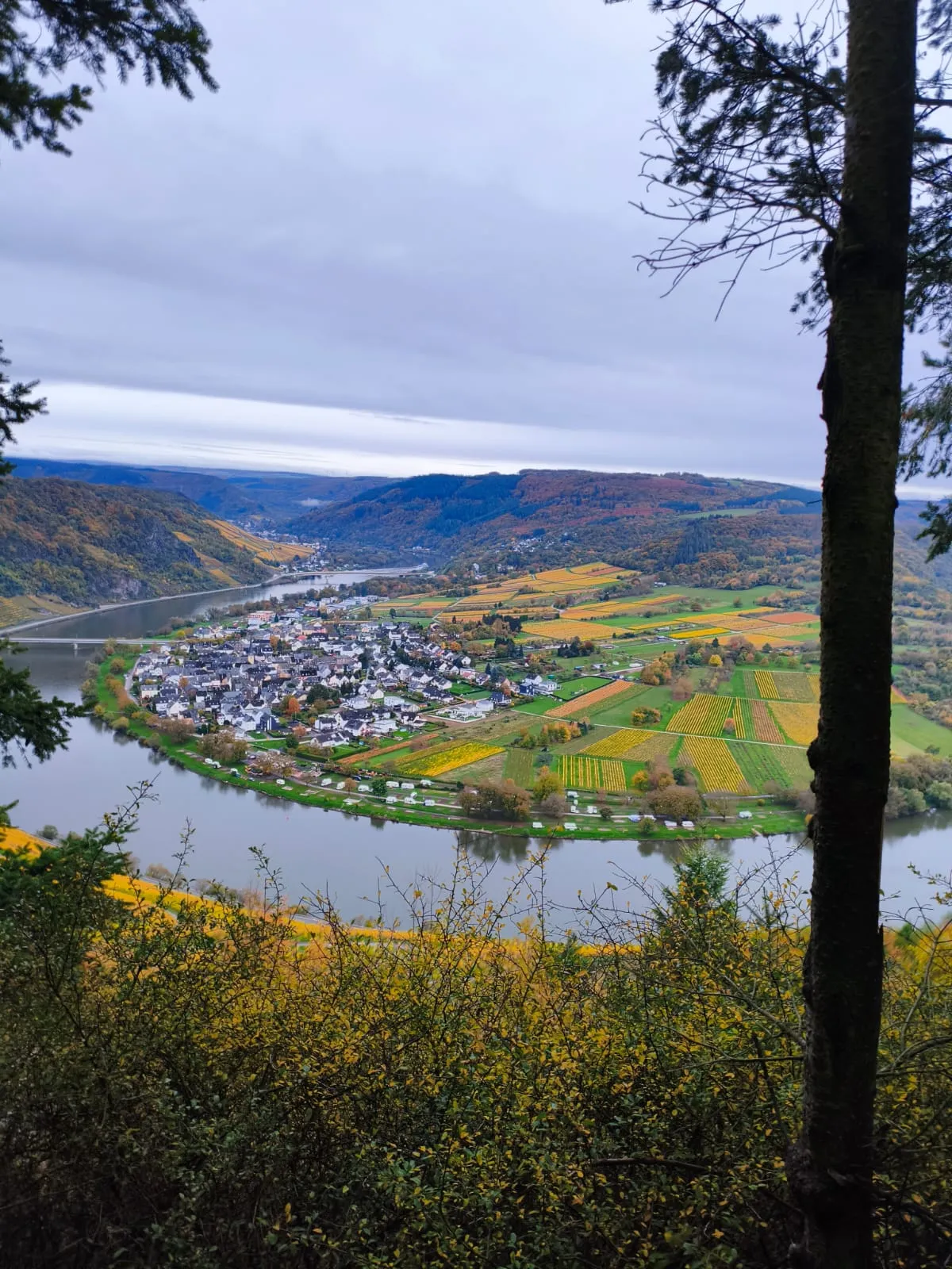 Drohnenflug