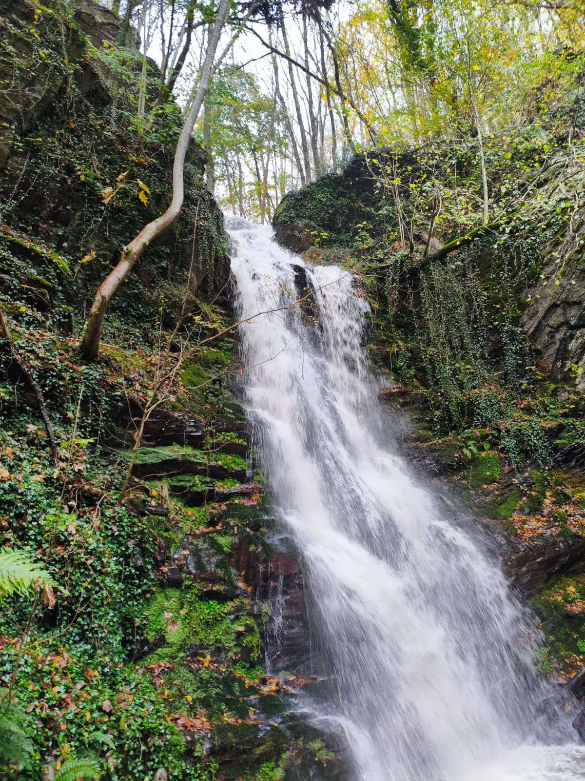 Wasserfall